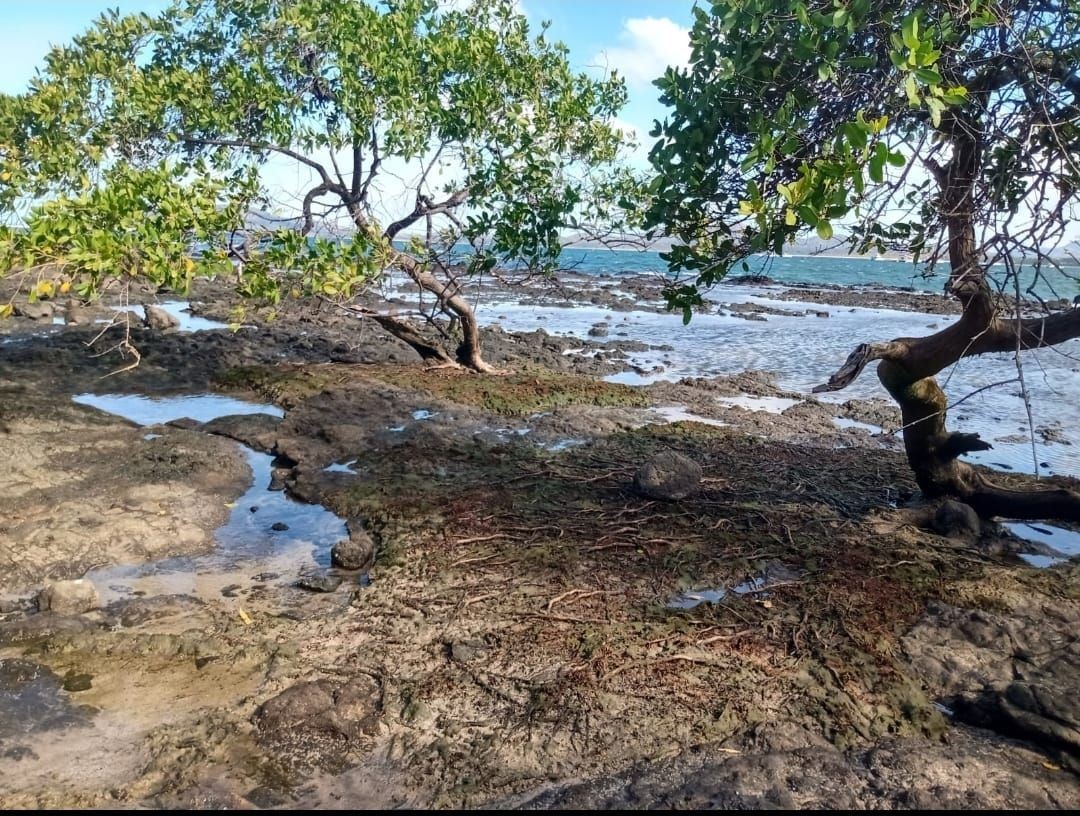 Playa Tamarindo, Playa Langosta, Playa Grande