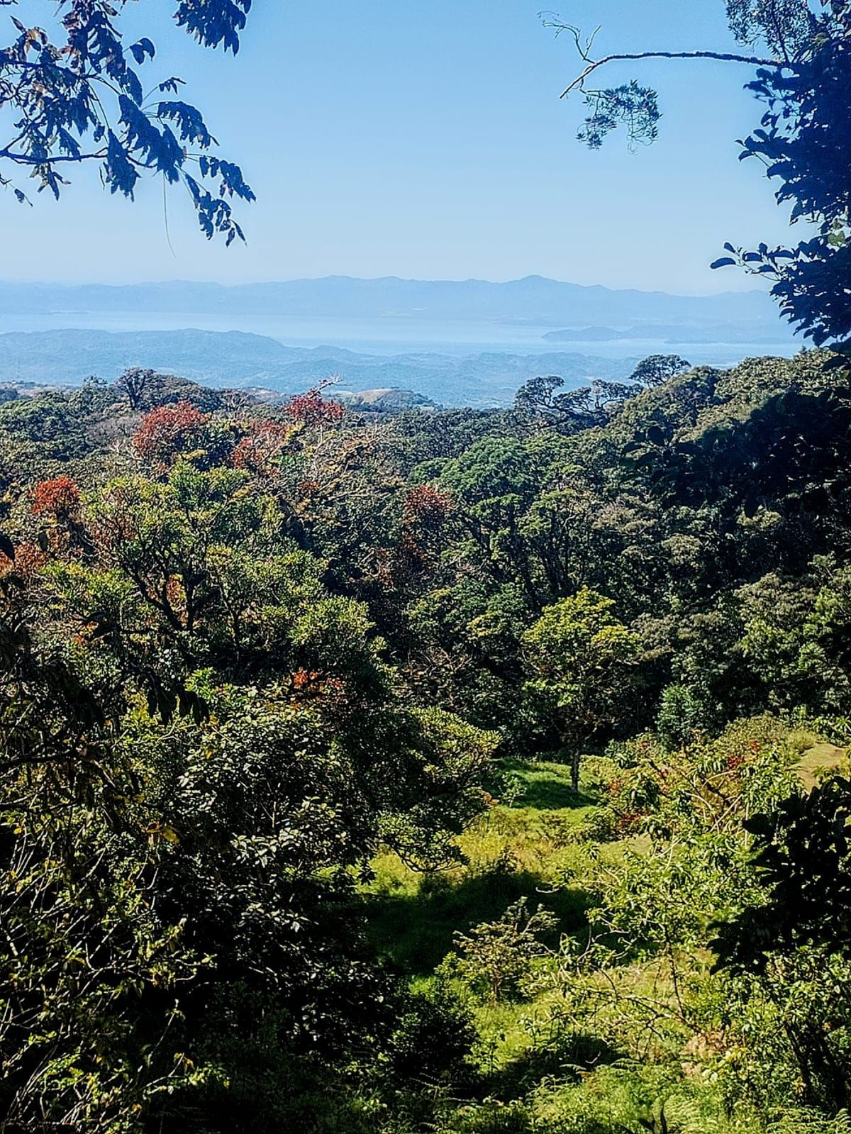 Monteverde Puntarenas Costa Rica Cloud Forest Tours