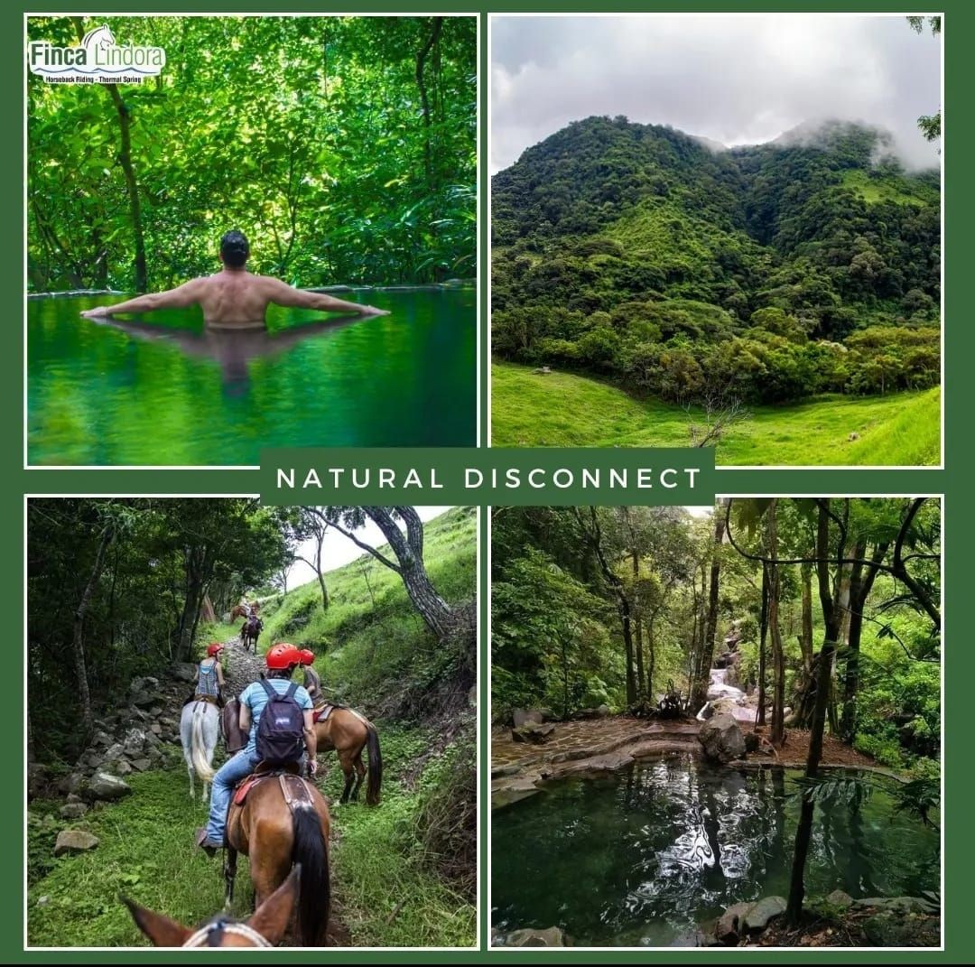 horseback riding cloud forest hot thermal