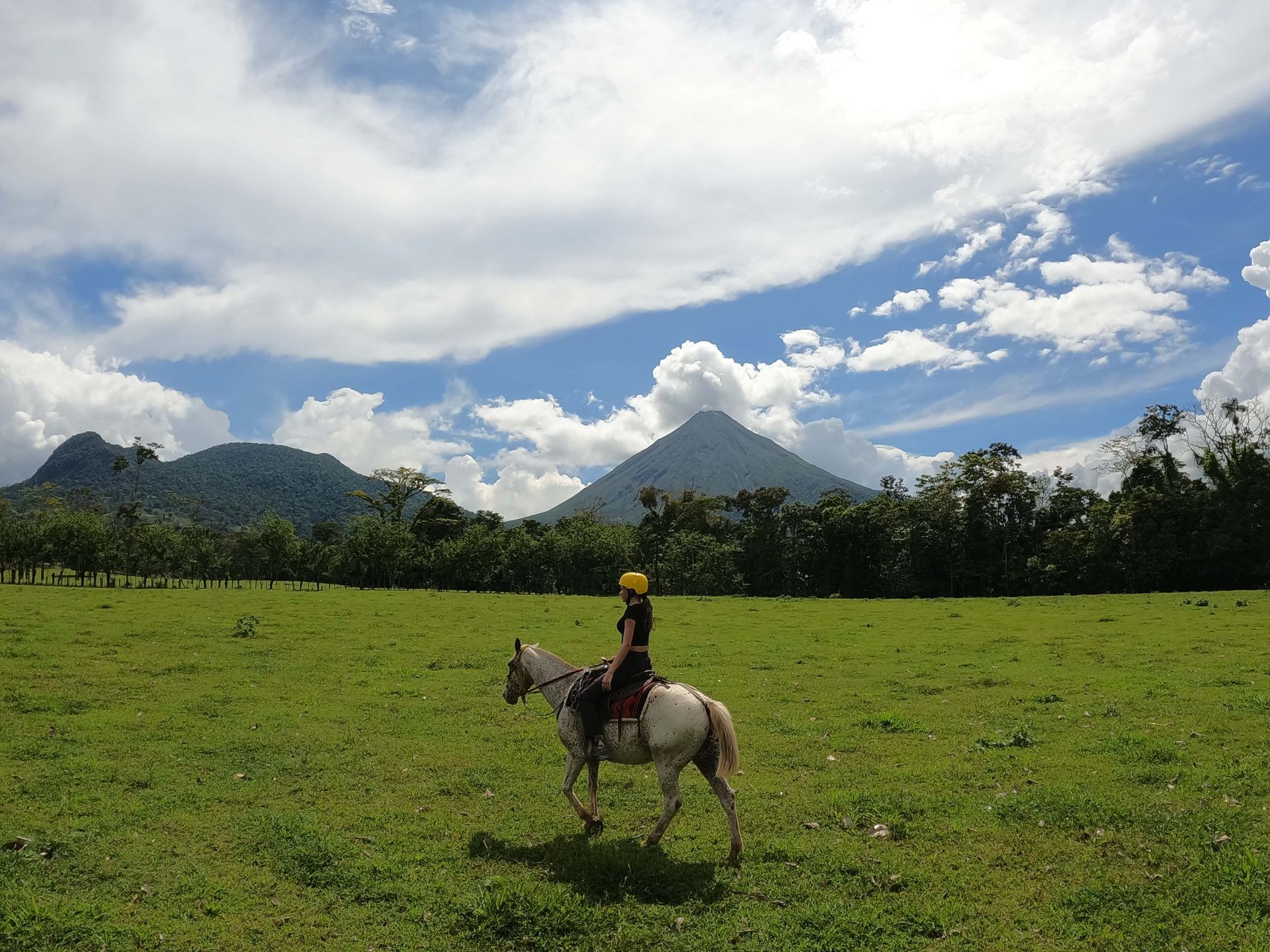 horsebackriding tours horses la fortuna