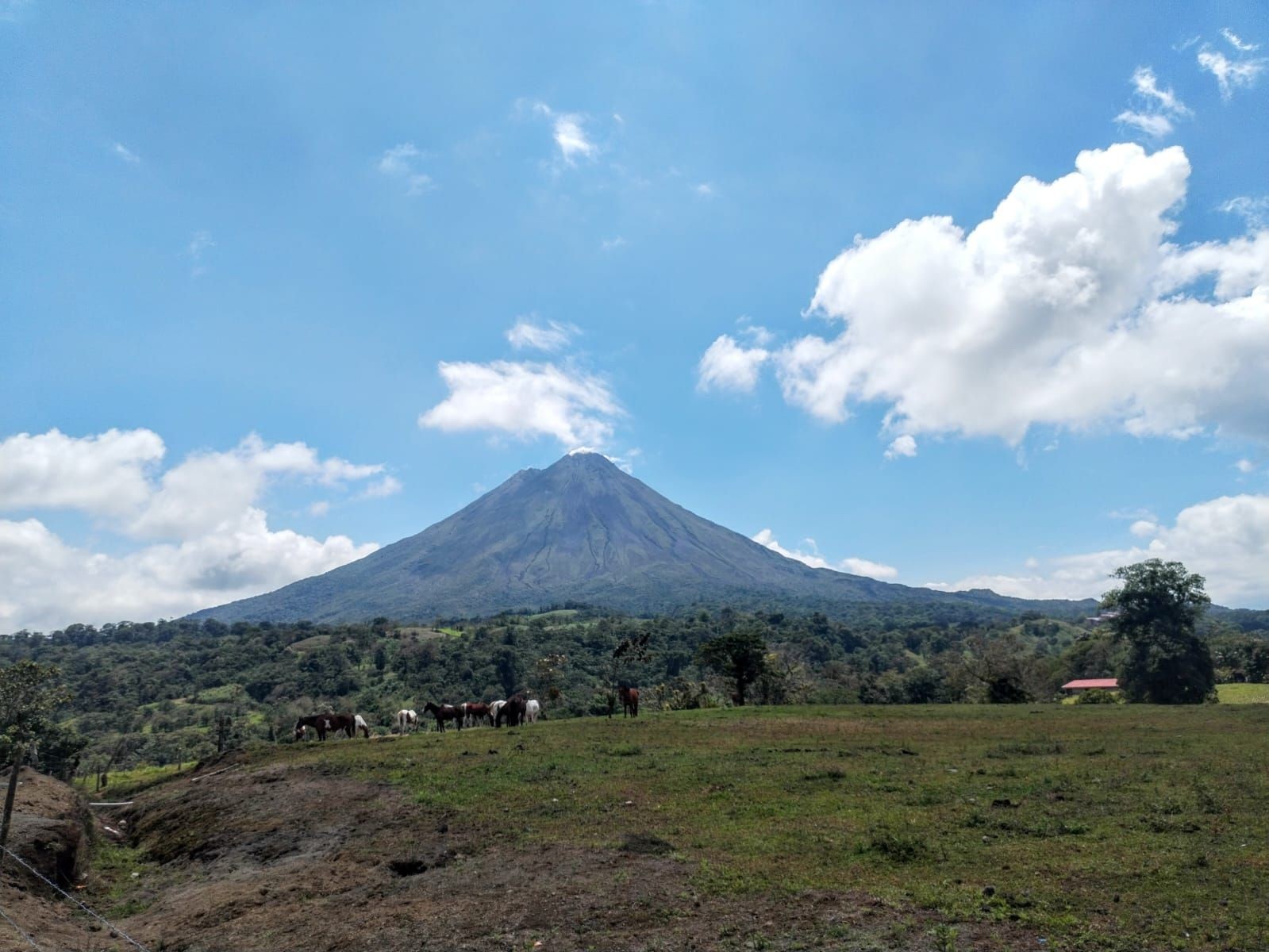 Arenal volcano La Fortuna Tour